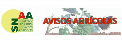 Circular nº 1/2019 Estação de Avisos Agrícolas da Terra Quente 